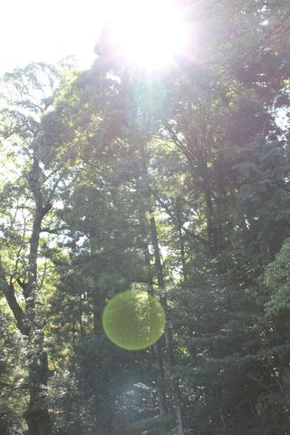 IMG_3575 IMG_3575