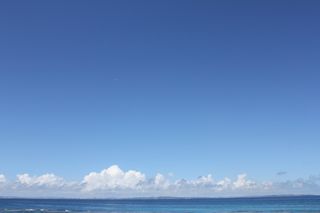 IMG_2880 IMG_2880