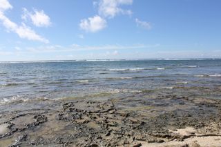 IMG_2758