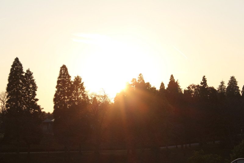 IMG_6432 IMG_6432